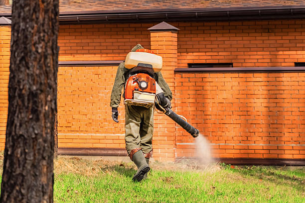 Bed Bug Clearance Verification and Documentation in Arkadelphia